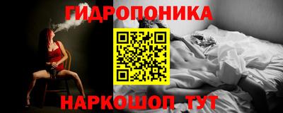 твердый Гатчина