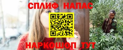 спиды Гагарин