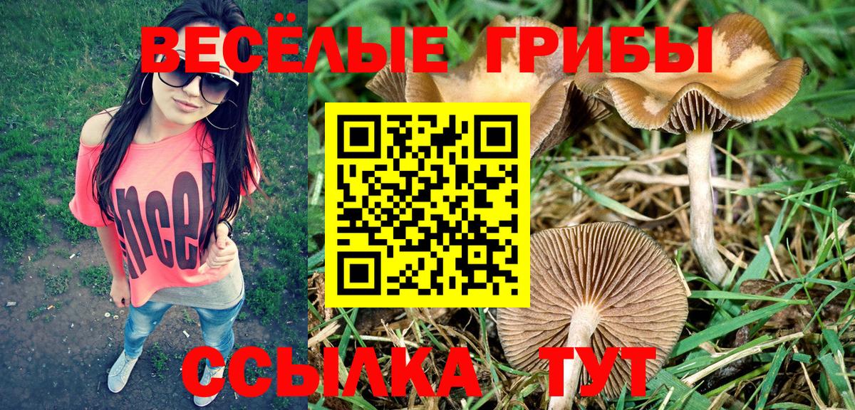 Горячий Ключ  Псилоцибиновые грибы прущие грибы  Вход с VPN 